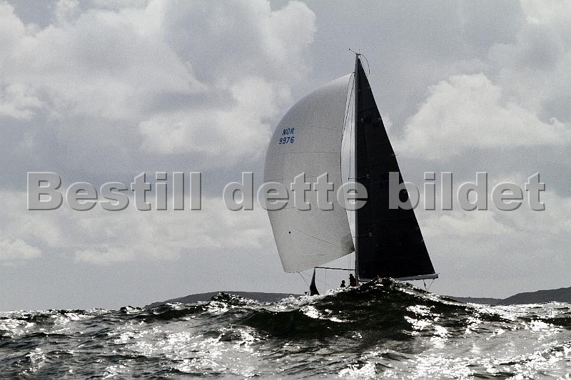 ORCi 473.jpg